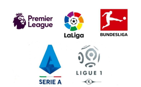 这一点不仅 这一点不仅